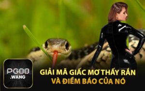 giải mã giấc mơ thấy rắn và điềm báo của nó