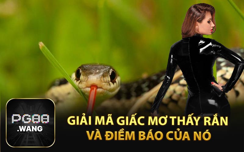 giải mã giấc mơ thấy rắn và điềm báo của nó