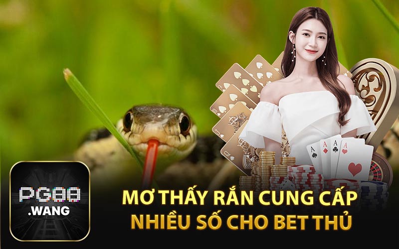 Mơ Thấy Rắn Cung Cấp Nhiều Số Cho Bet Thủ