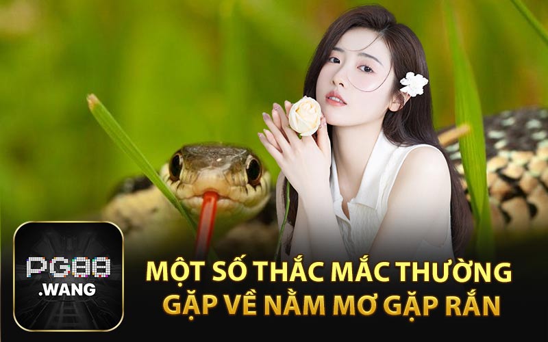 Một Số Thắc Mắc Thường Gặp Về Nằm Mơ Gặp Rắn