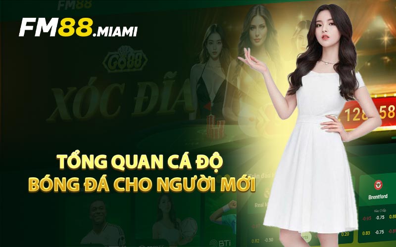Tổng Quan Cá Độ Bóng Đá Cho Người Mới